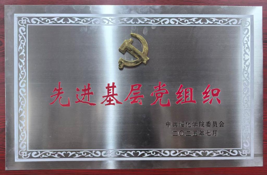 2025先进基层党总支