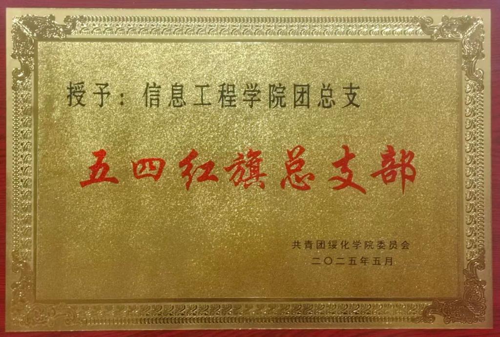 2025五四红旗团总支